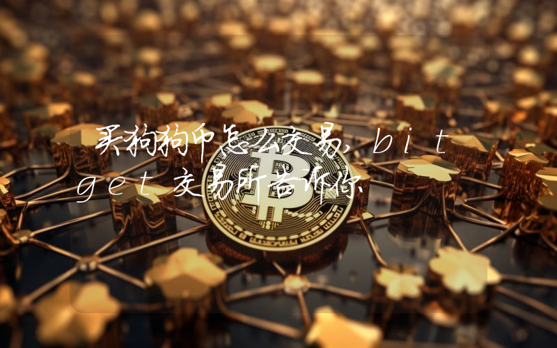 买狗狗币怎么交易,bitget交易所告诉你