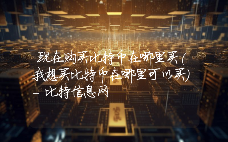 现在购买比特币在哪里买(我想买比特币在哪里可以买)-比特信息网