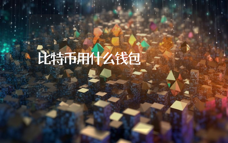 比特币用什么钱包