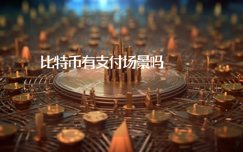 比特币有支付场景吗