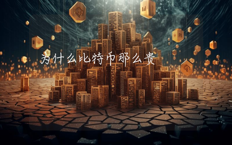 为什么比特币那么贵