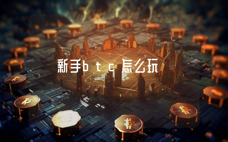新手btc怎么玩