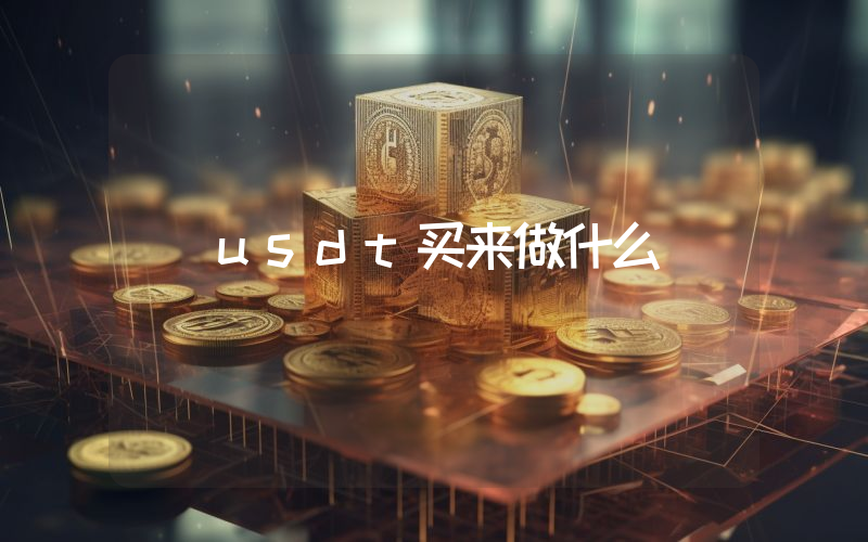 usdt买来做什么