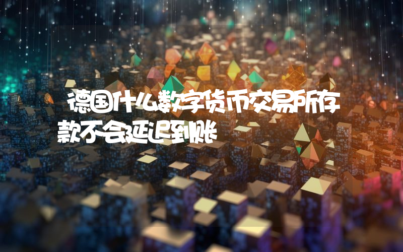 德国什么数字货币交易所存款不会延迟到账