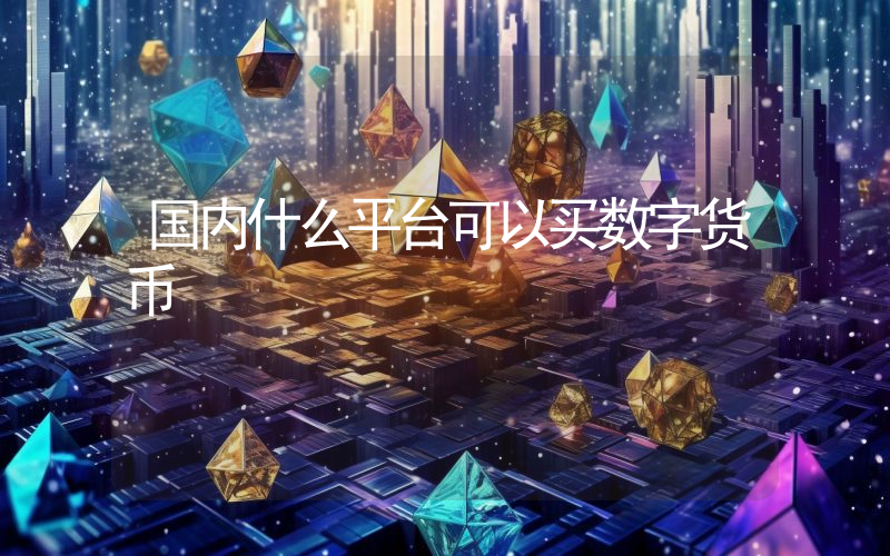 国内什么平台可以买数字货币