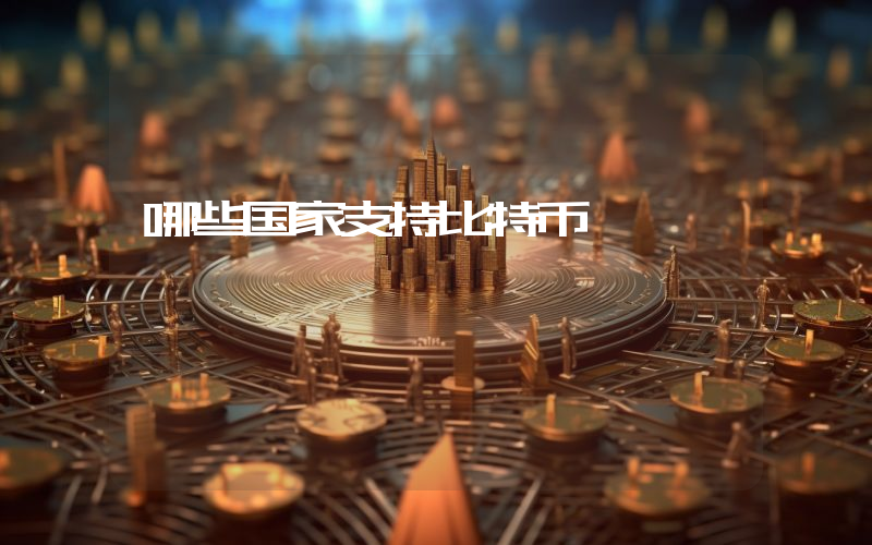 哪些国家支持比特币