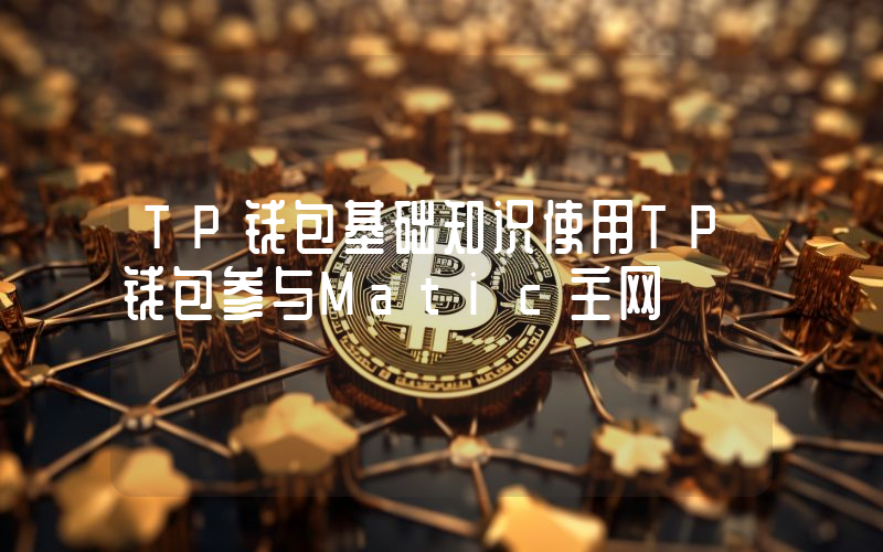 TP钱包基础知识使用TP钱包参与Matic主网
