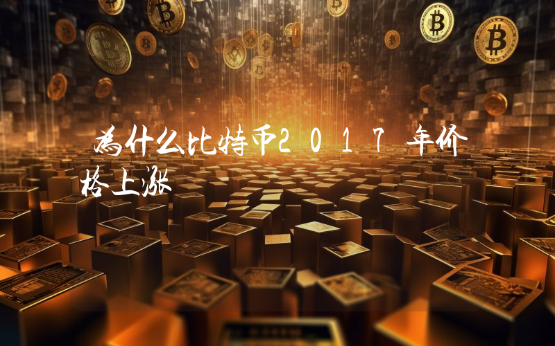 为什么比特币2017年价格上涨