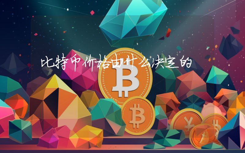 比特币价格由什么决定的