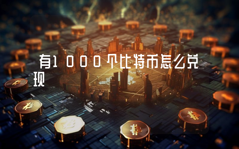 有1000个比特币怎么兑现