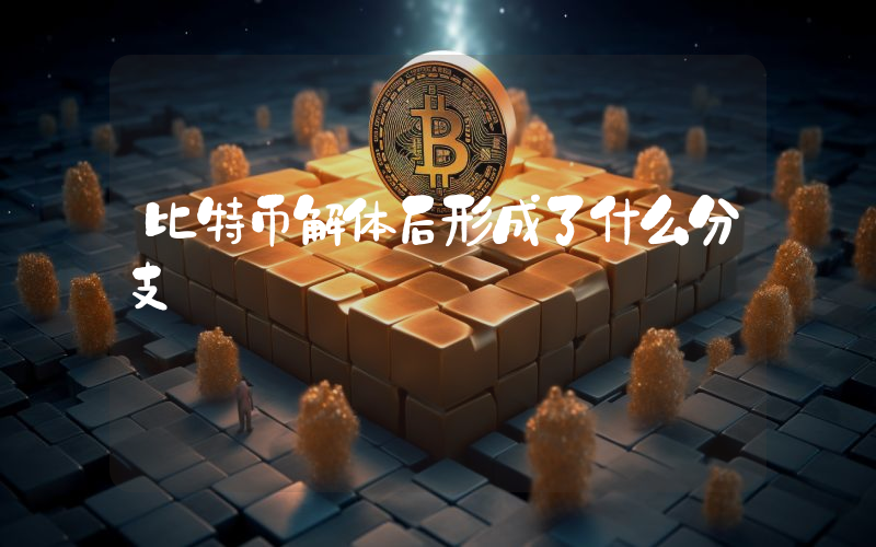比特币解体后形成了什么分支