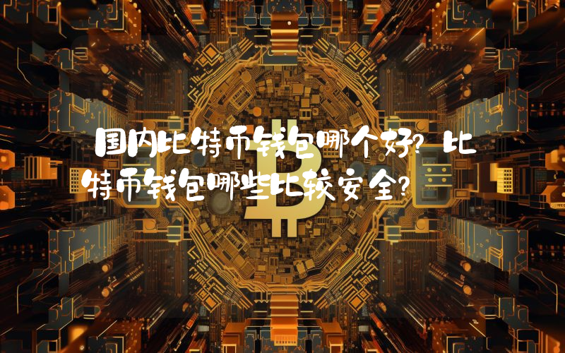 国内比特币钱包哪个好？比特币钱包哪些比较安全？