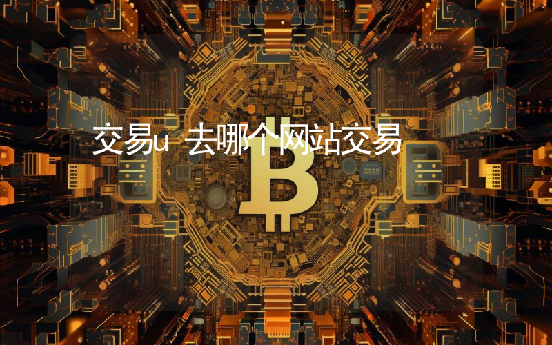 交易u去哪个网站交易