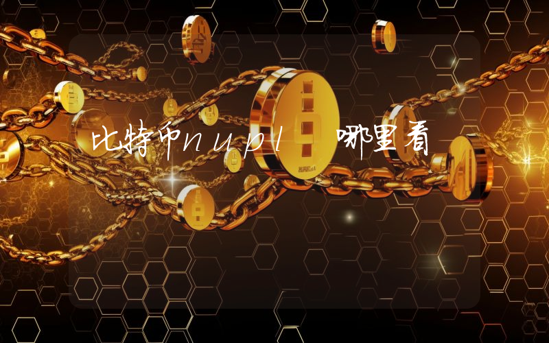 比特币nupl 哪里看