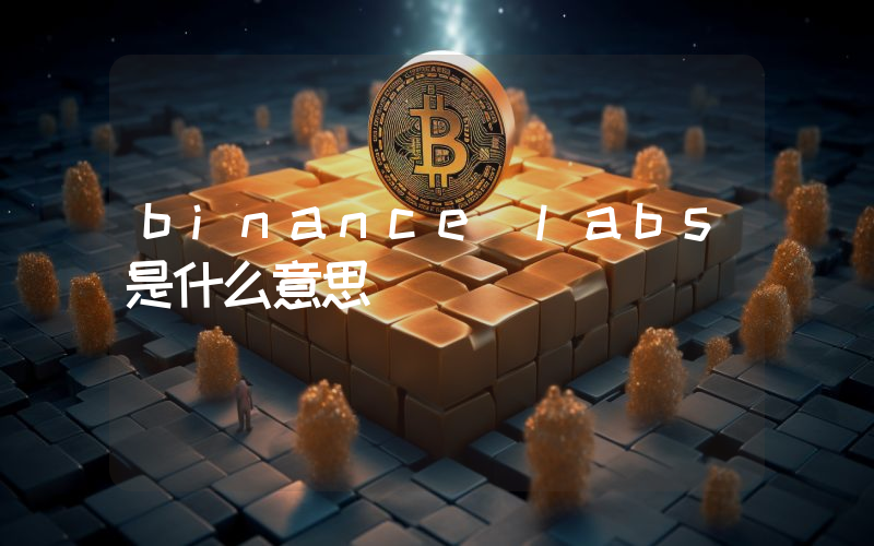 binance labs是什么意思