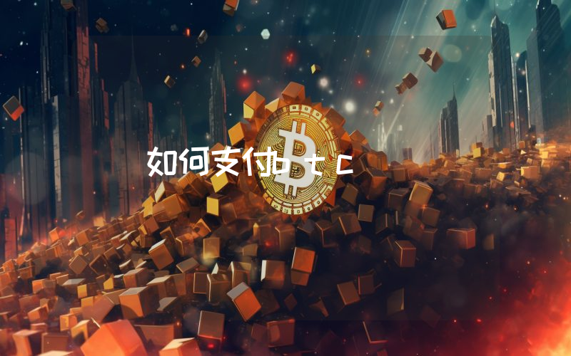 如何支付btc