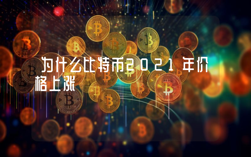 为什么比特币2021年价格上涨