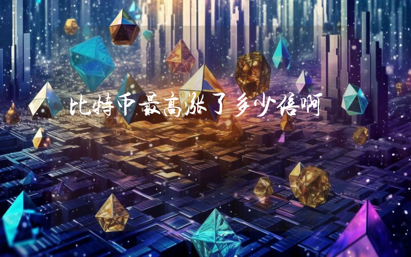 比特币最高涨了多少倍啊