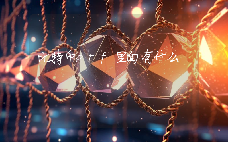 比特币etf里面有什么