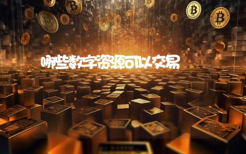 哪些数字资源可以交易