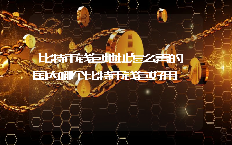比特币钱包地址怎么弄的 国内哪个比特币钱包好用