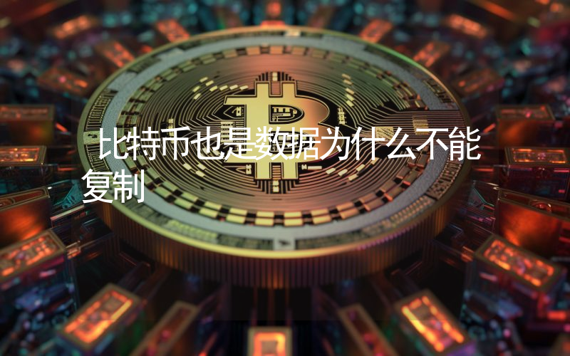 比特币也是数据为什么不能复制