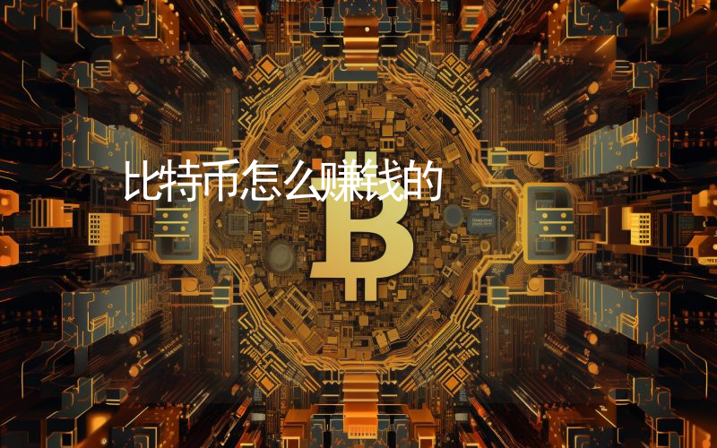 比特币怎么赚钱的