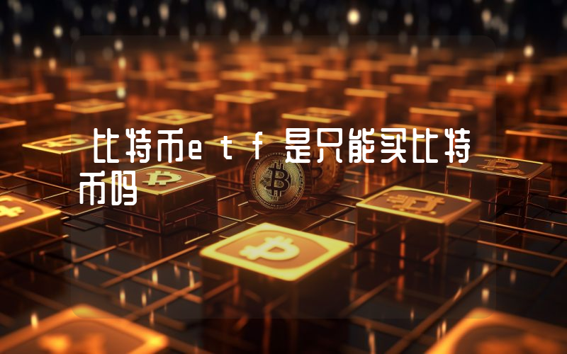 比特币etf是只能买比特币吗