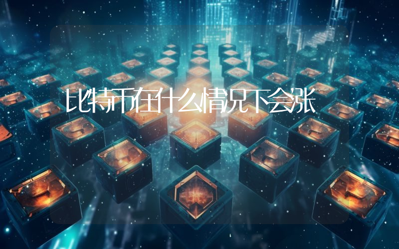 比特币在什么情况下会涨