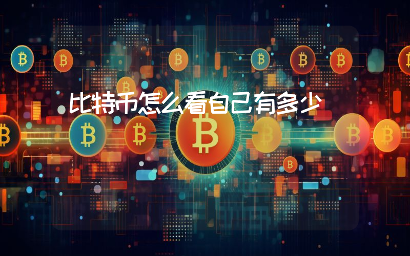 比特币怎么看自己有多少