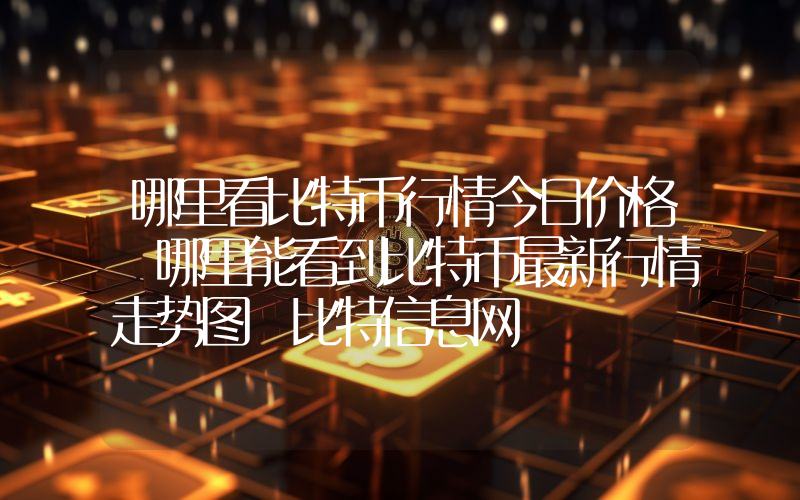 哪里看比特币行情今日价格 哪里能看到比特币最新行情走势图 比特信息网