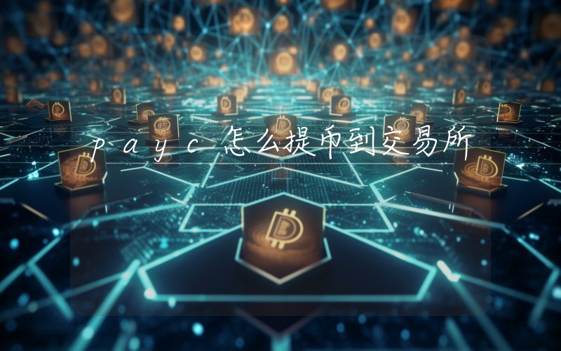 payc怎么提币到交易所