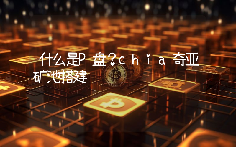 什么是P盘？chia奇亚矿池搭建