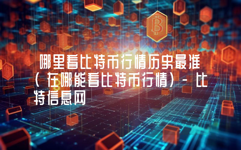 哪里看比特币行情历史最准(在哪能看比特币行情)-比特信息网