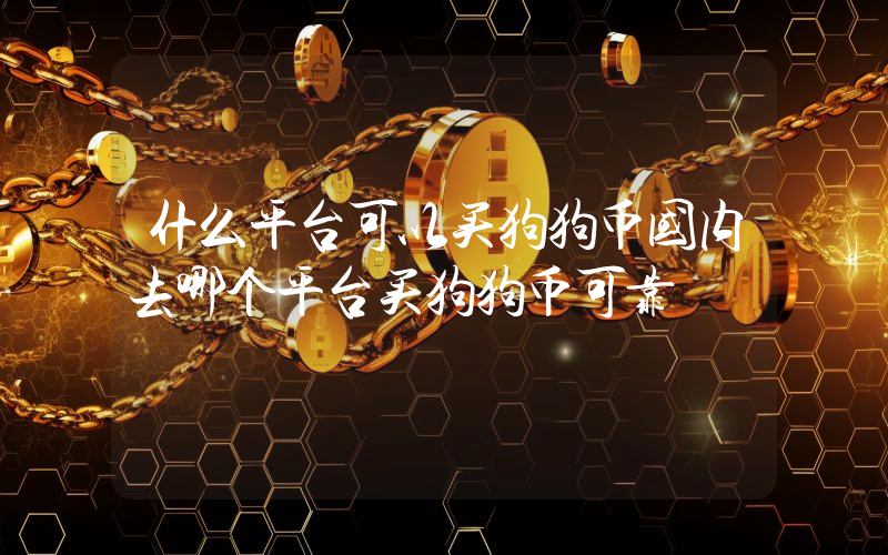 什么平台可以买狗狗币国内去哪个平台买狗狗币可靠