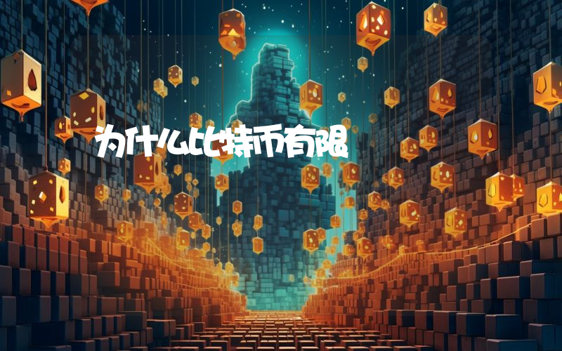 为什么比特币有限