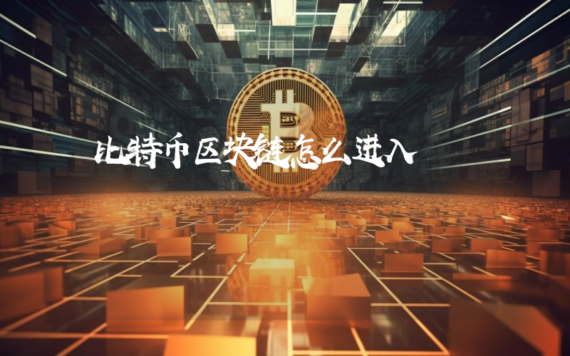 比特币区块链怎么进入