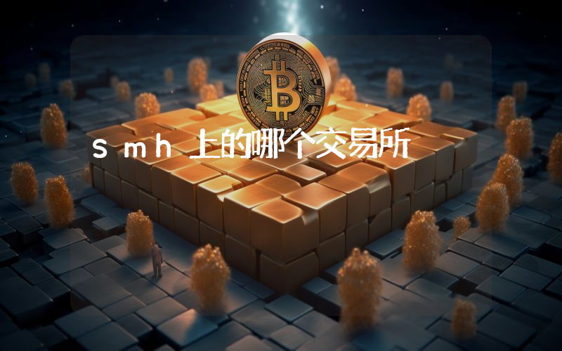 smh上的哪个交易所