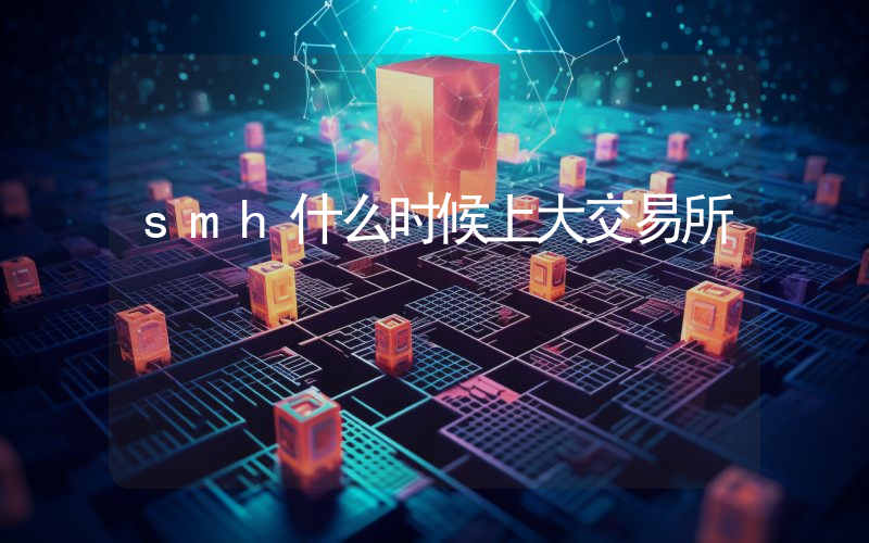 smh什么时候上大交易所