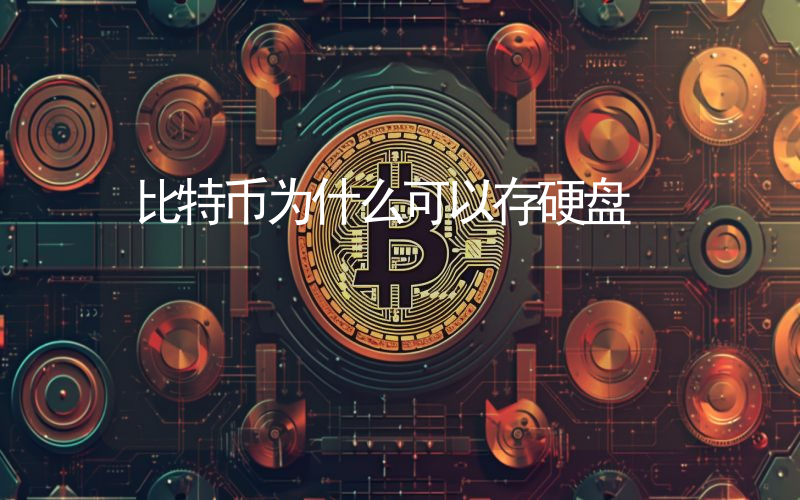 比特币为什么可以存硬盘