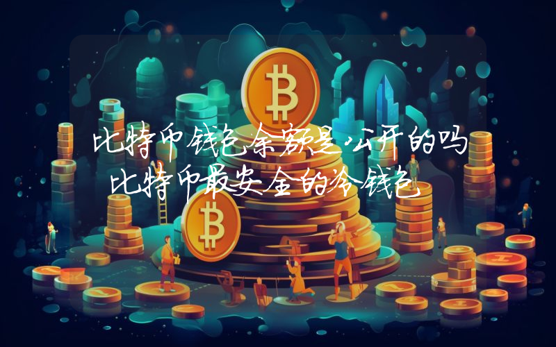 比特币钱包余额是公开的吗 比特币最安全的冷钱包