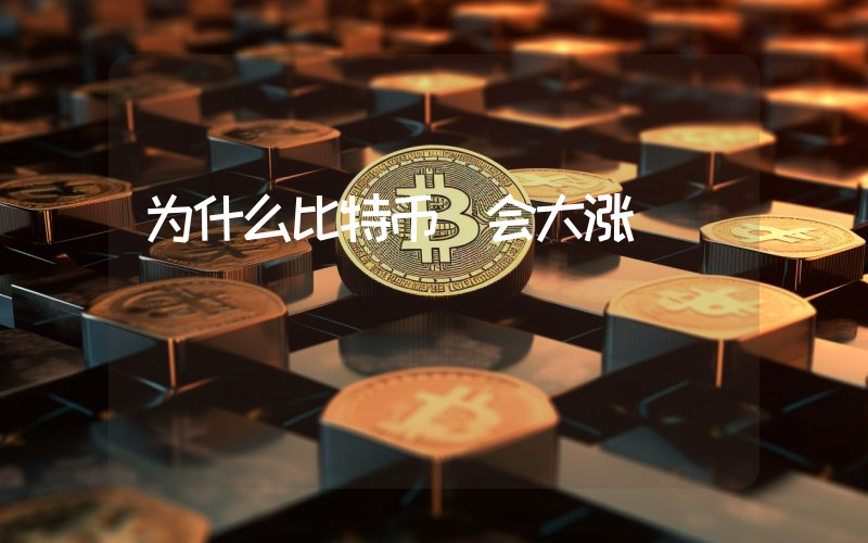 为什么比特币 会大涨