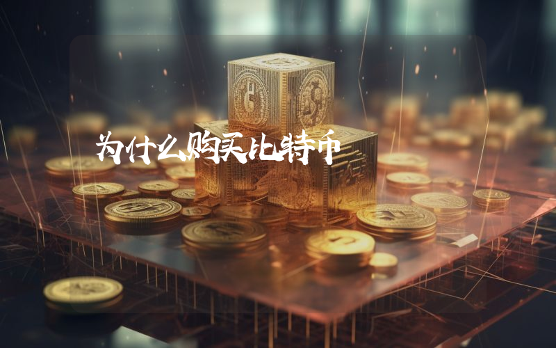 为什么购买比特币