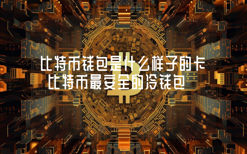 比特币钱包是什么样子的卡 比特币最安全的冷钱包