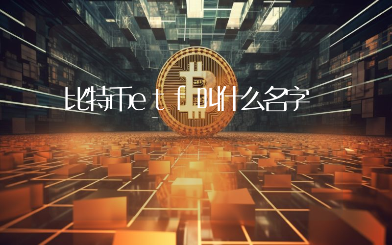 比特币etf叫什么名字