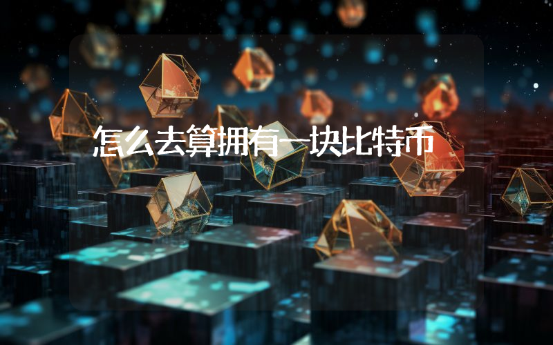 怎么去算拥有一块比特币