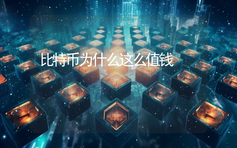 比特币为什么这么值钱