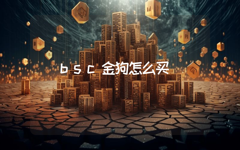 bsc金狗怎么买