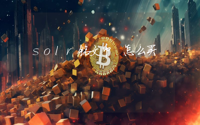 solr铭文币 怎么买