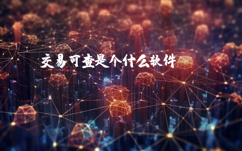 交易可查是个什么软件